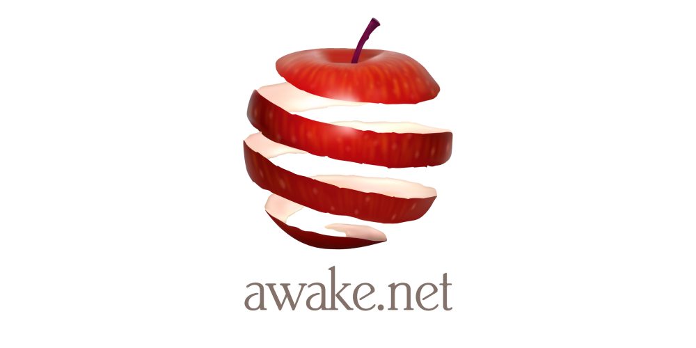 Awake.net_